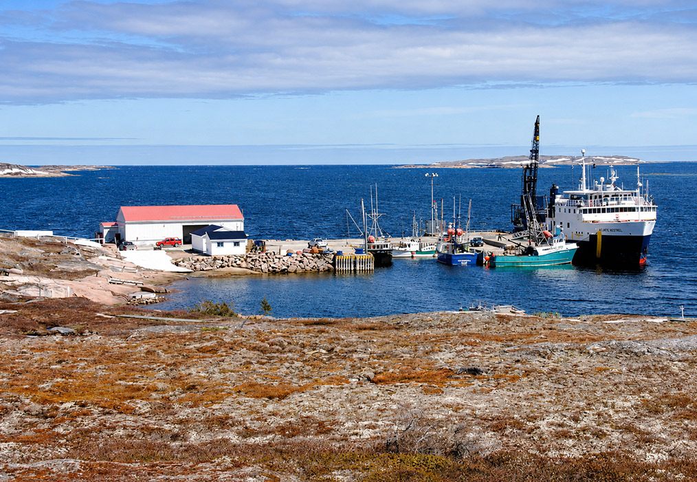 The harbour at Tête-à-la-Baleine on a clear day: a red-roofed fish plant beside
                    the wharf, small trawlers moored alongside a coastal freighter, and low
                    snow-streaked islands on the horizon beyond open tundra.